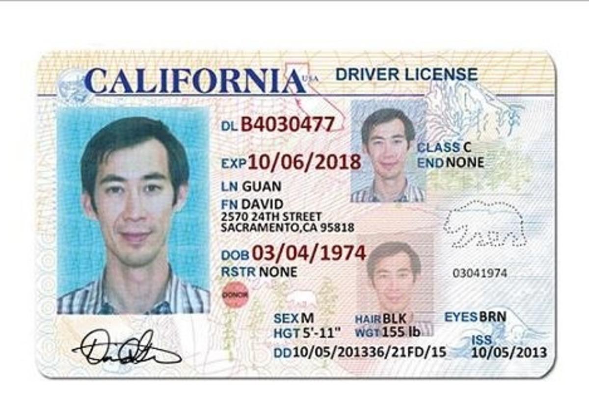 california-drivers-license-template-editable-informationoperf